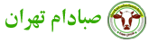 Onlinewebsite mobile logo